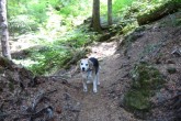 Spud at clear_lake_2007.jpg